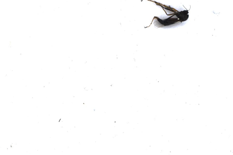 Image 56